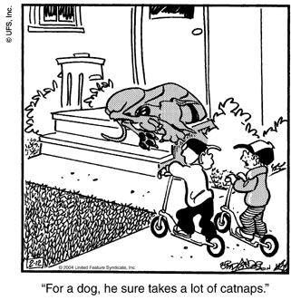 marmaduke
